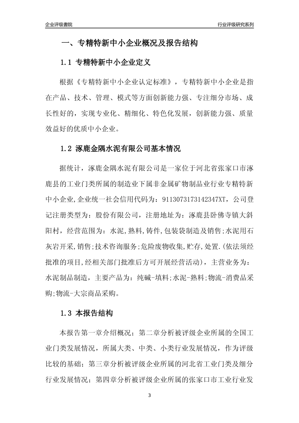 [专精特新]涿鹿金隅水泥有限公司行业竞争力评级分析报告(2023版)_第3页