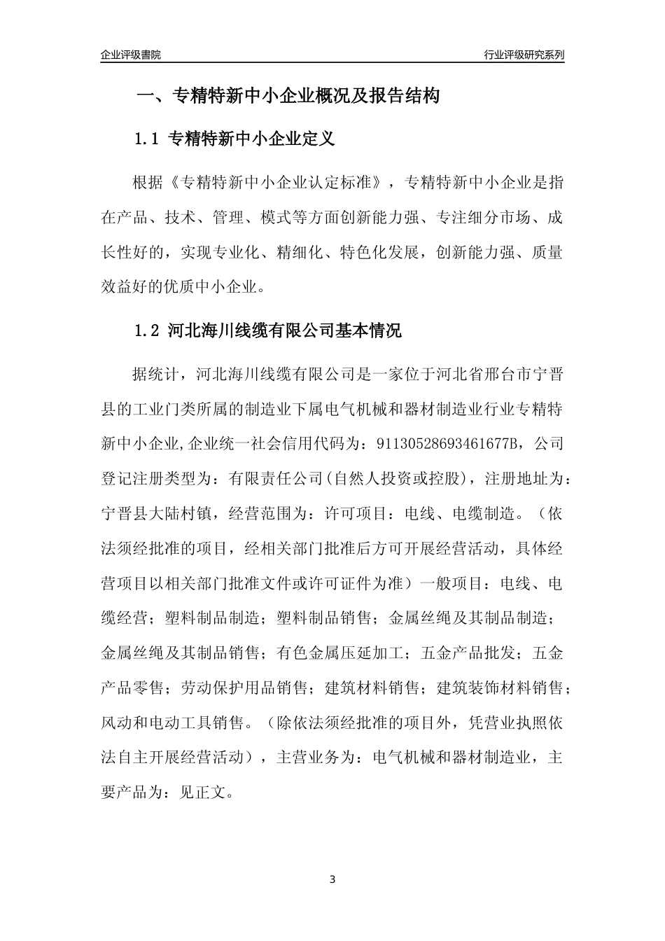[专精特新]河北海川线缆有限公司行业竞争力评级分析报告(2023版)_第3页