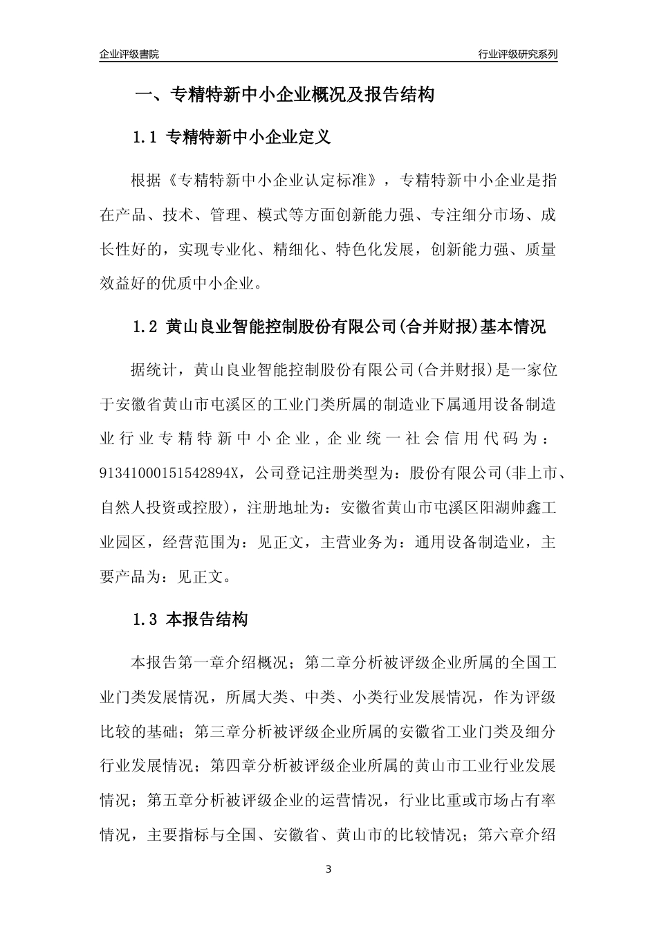 [专精特新]黄山良业智能控制股份有限公司(合并财报)行业竞争力评级分析报告(2023版)_第3页