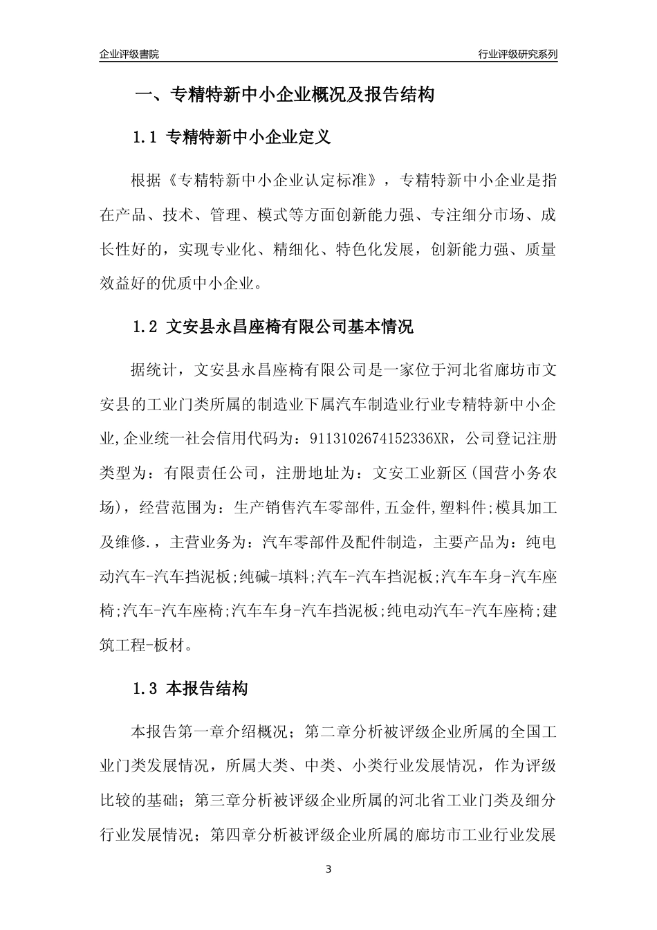 [专精特新]文安县永昌座椅有限公司行业竞争力评级分析报告(2023版)_第3页