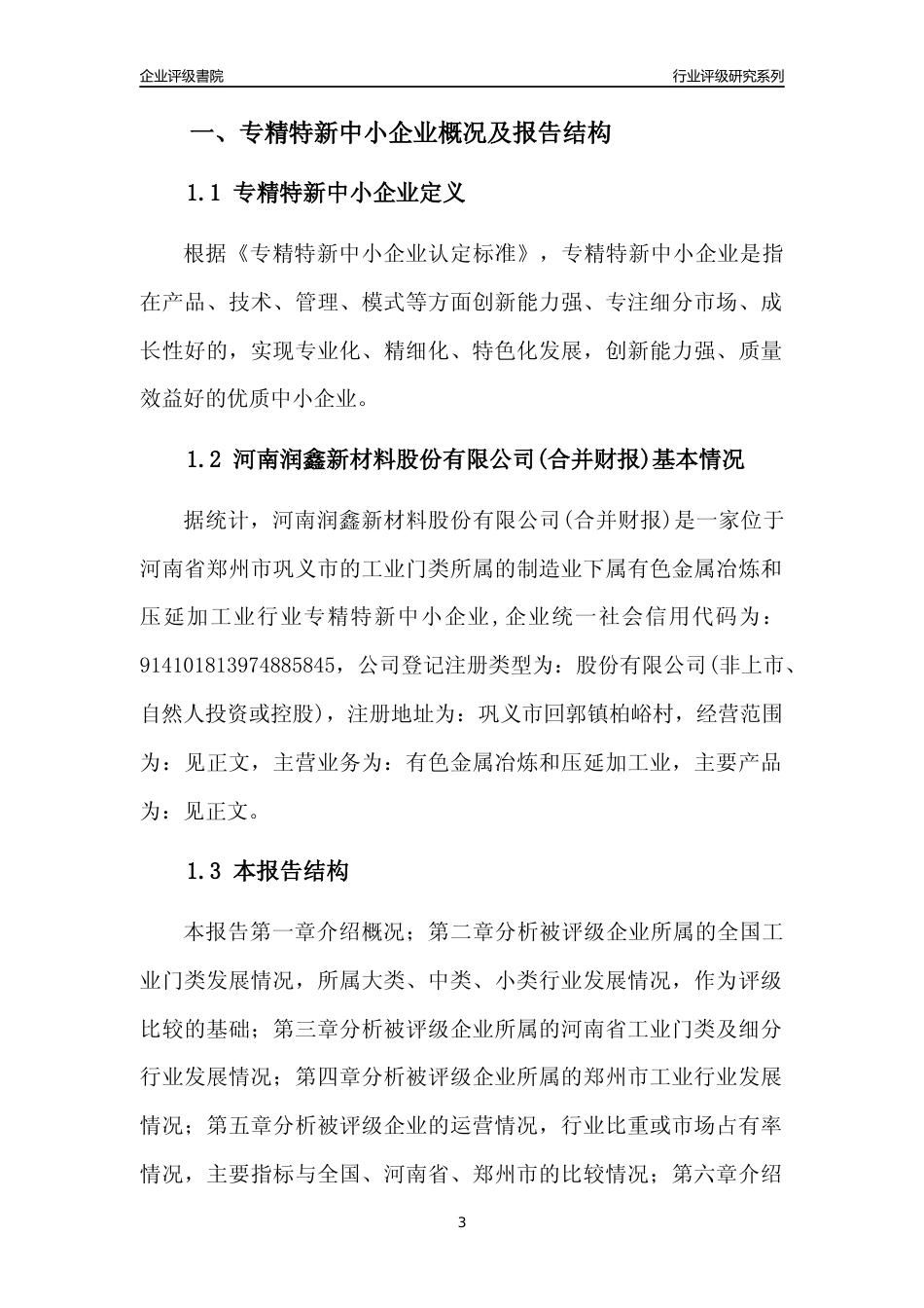 [专精特新]河南润鑫新材料股份有限公司(合并财报)行业竞争力评级分析报告(2023版)_第3页