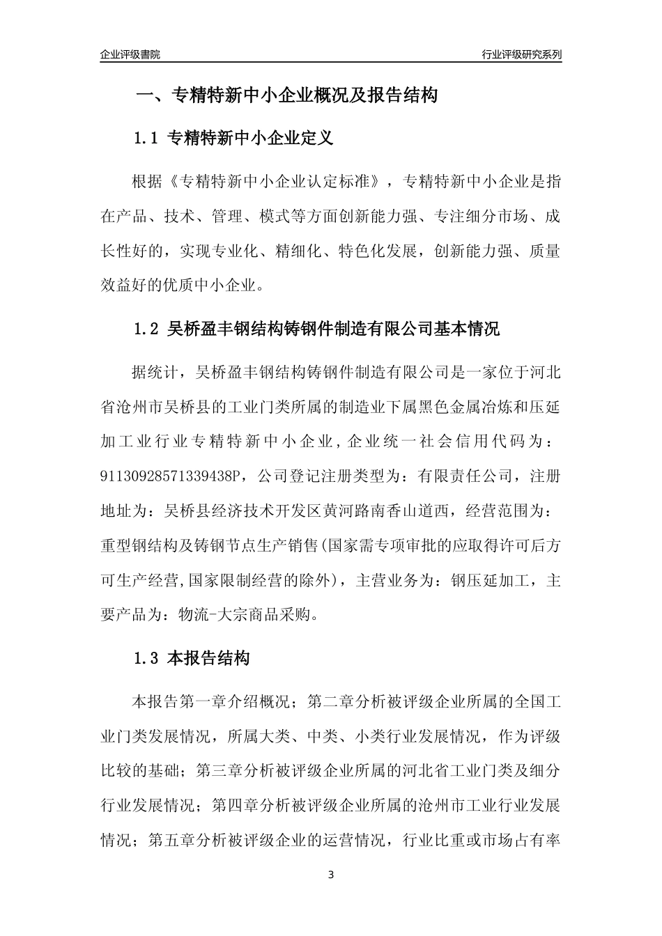 [专精特新]吴桥盈丰钢结构铸钢件制造有限公司行业竞争力评级分析报告(2023版)_第3页