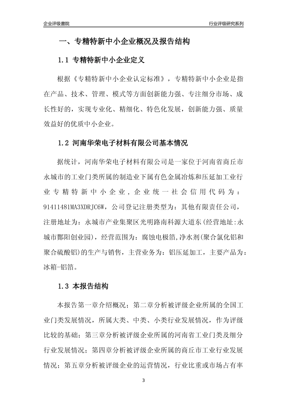 [专精特新]河南华荣电子材料有限公司行业竞争力评级分析报告(2023版)_第3页