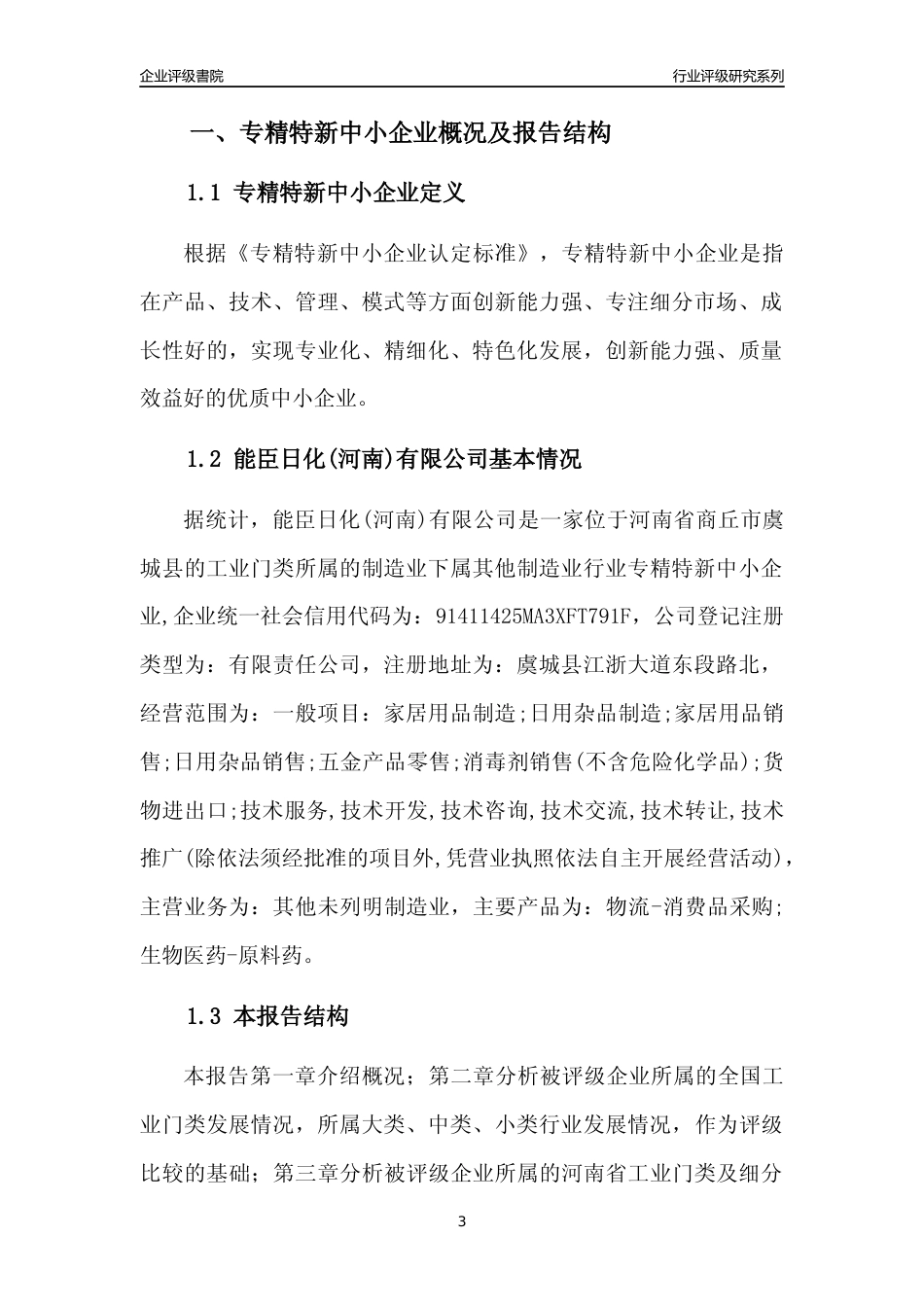 [专精特新]能臣日化(河南)有限公司行业竞争力评级分析报告(2023版)_第3页