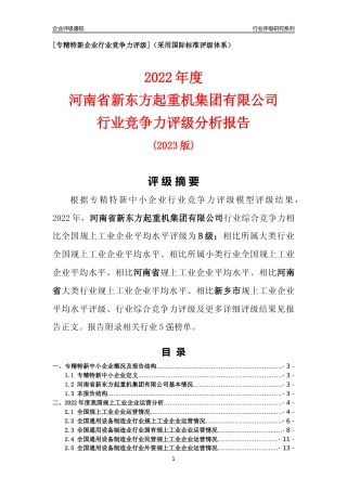 [专精特新]河南省新东方起重机集团有限公司行业竞争力评级分析报告(2023版)
