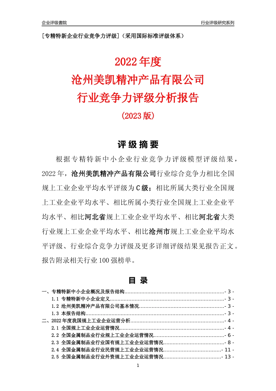 [专精特新]沧州美凯精冲产品有限公司行业竞争力评级分析报告(2023版)_第1页