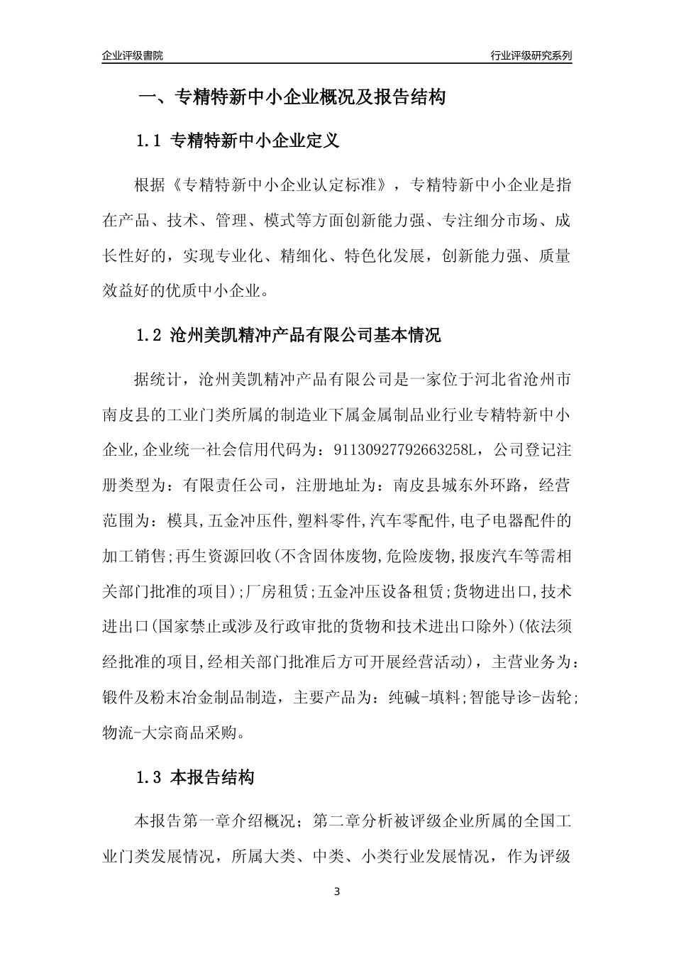 [专精特新]沧州美凯精冲产品有限公司行业竞争力评级分析报告(2023版)_第3页