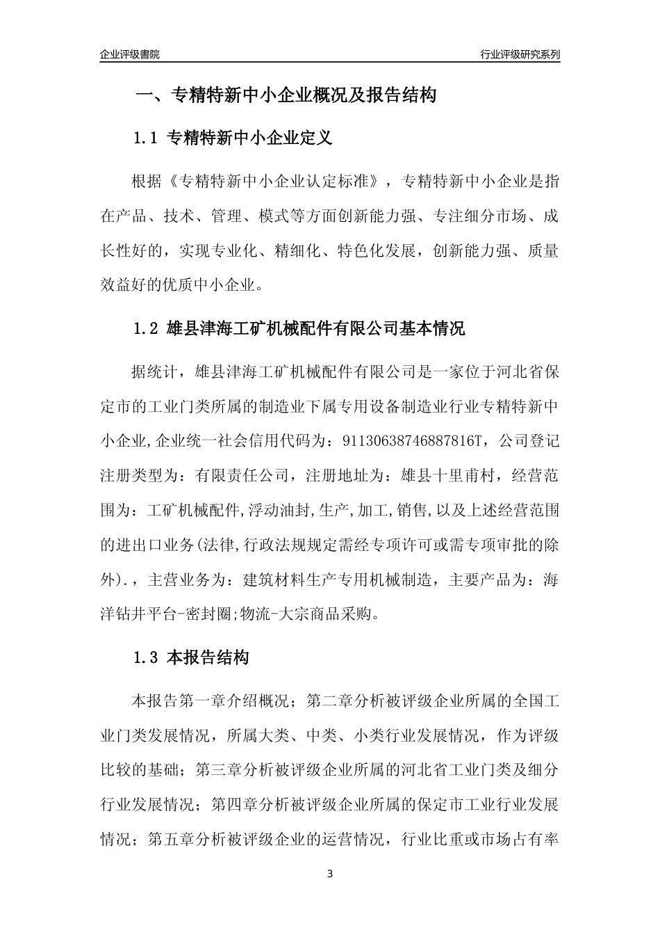 [专精特新]雄县津海工矿机械配件有限公司行业竞争力评级分析报告(2023版)_第3页