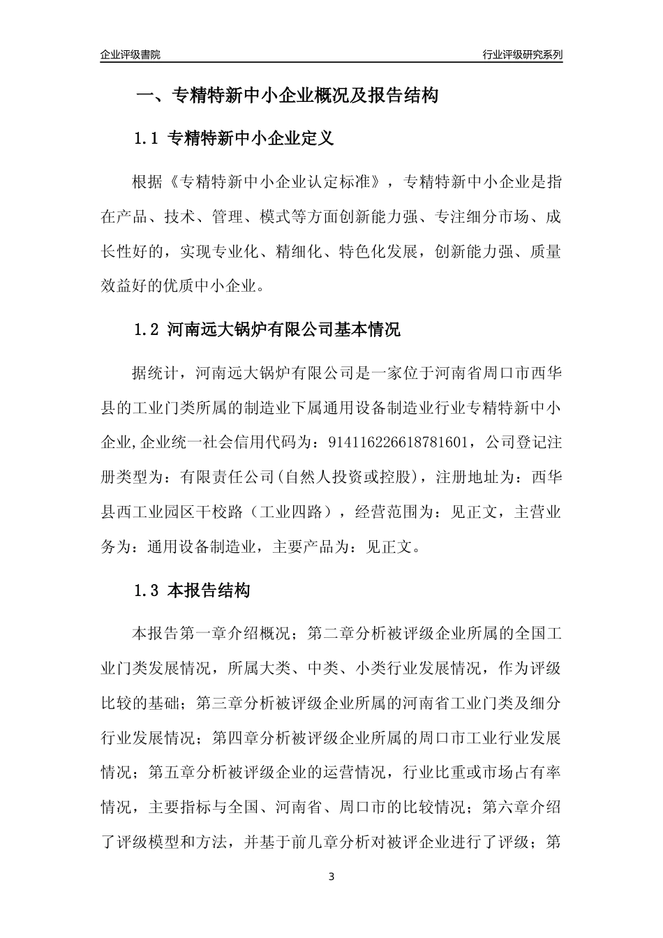 [专精特新]河南远大锅炉有限公司行业竞争力评级分析报告(2023版)_第3页