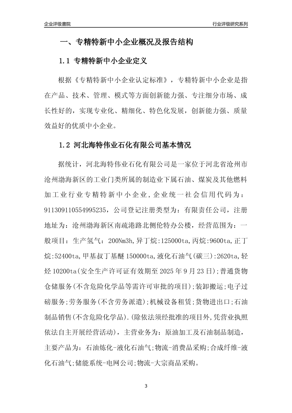 [专精特新]河北海特伟业石化有限公司行业竞争力评级分析报告(2023版)_第3页