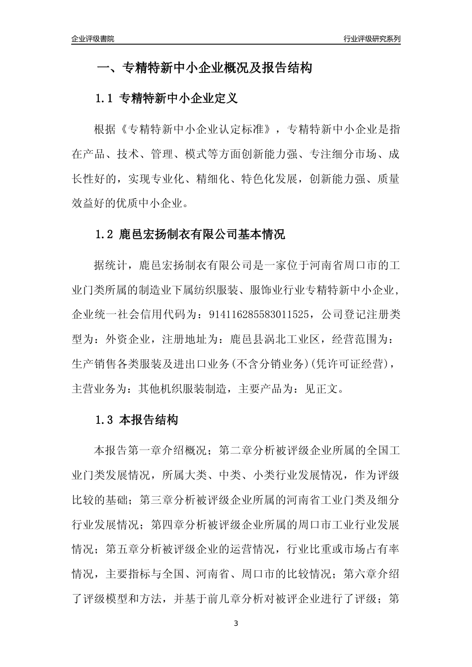 [专精特新]鹿邑宏扬制衣有限公司行业竞争力评级分析报告(2023版)_第3页