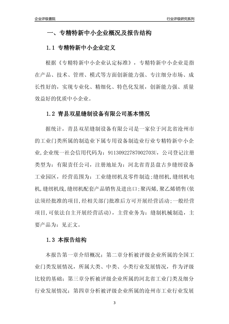 [专精特新]青县双星缝制设备有限公司行业竞争力评级分析报告(2023版)_第3页