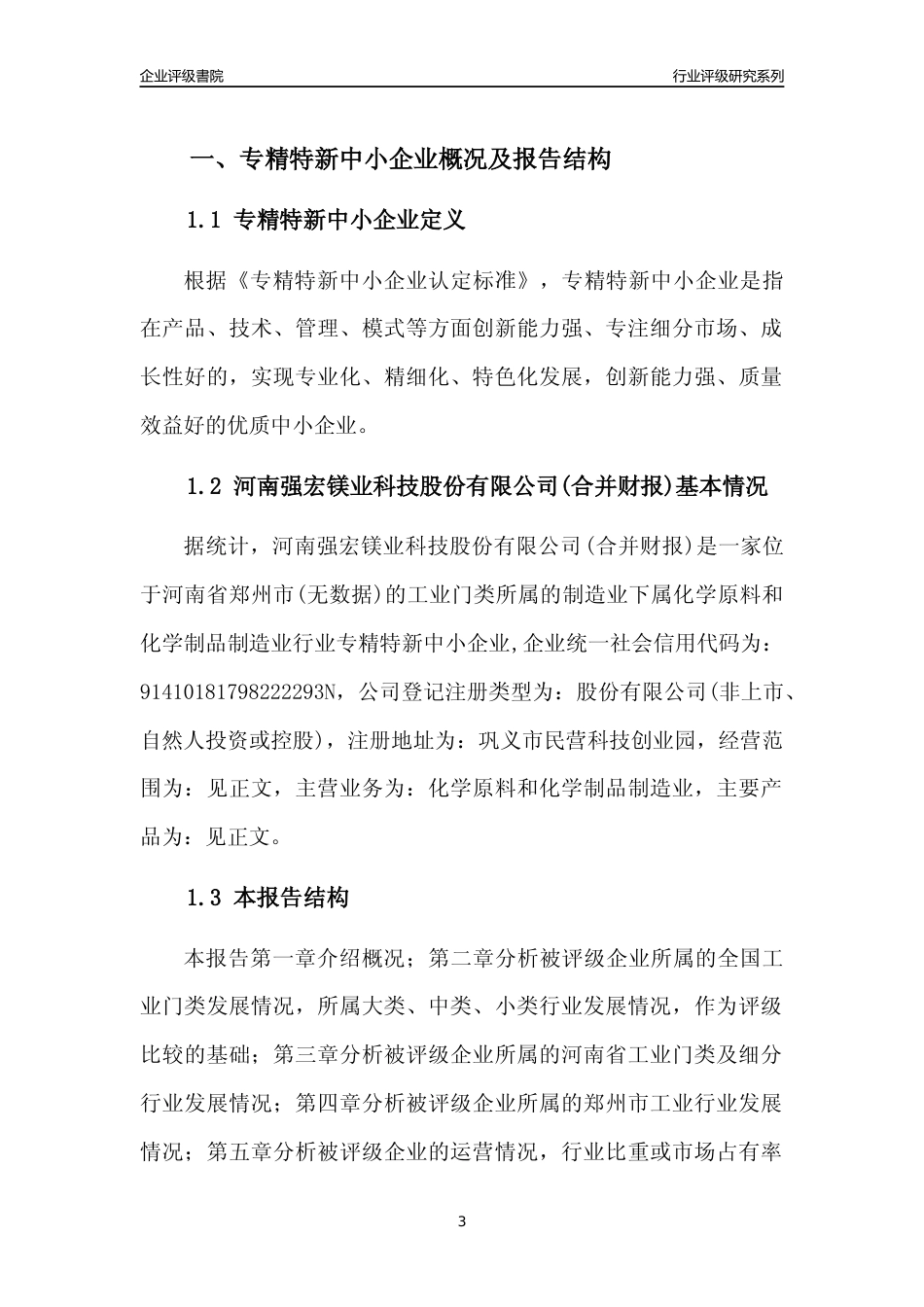 [专精特新]河南强宏镁业科技股份有限公司(合并财报)行业竞争力评级分析报告(2023版)_第3页