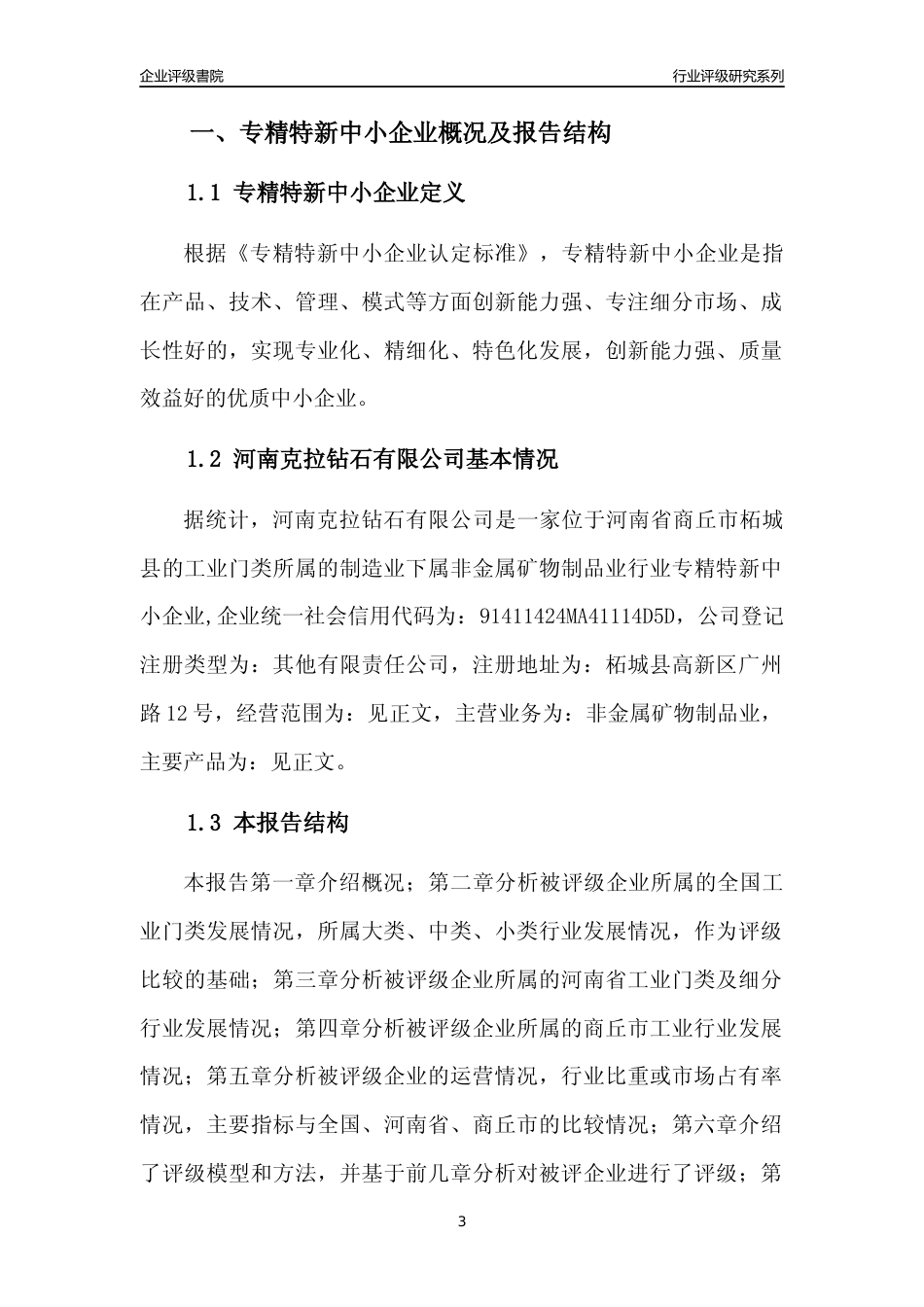 [专精特新]河南克拉钻石有限公司行业竞争力评级分析报告(2023版)_第3页