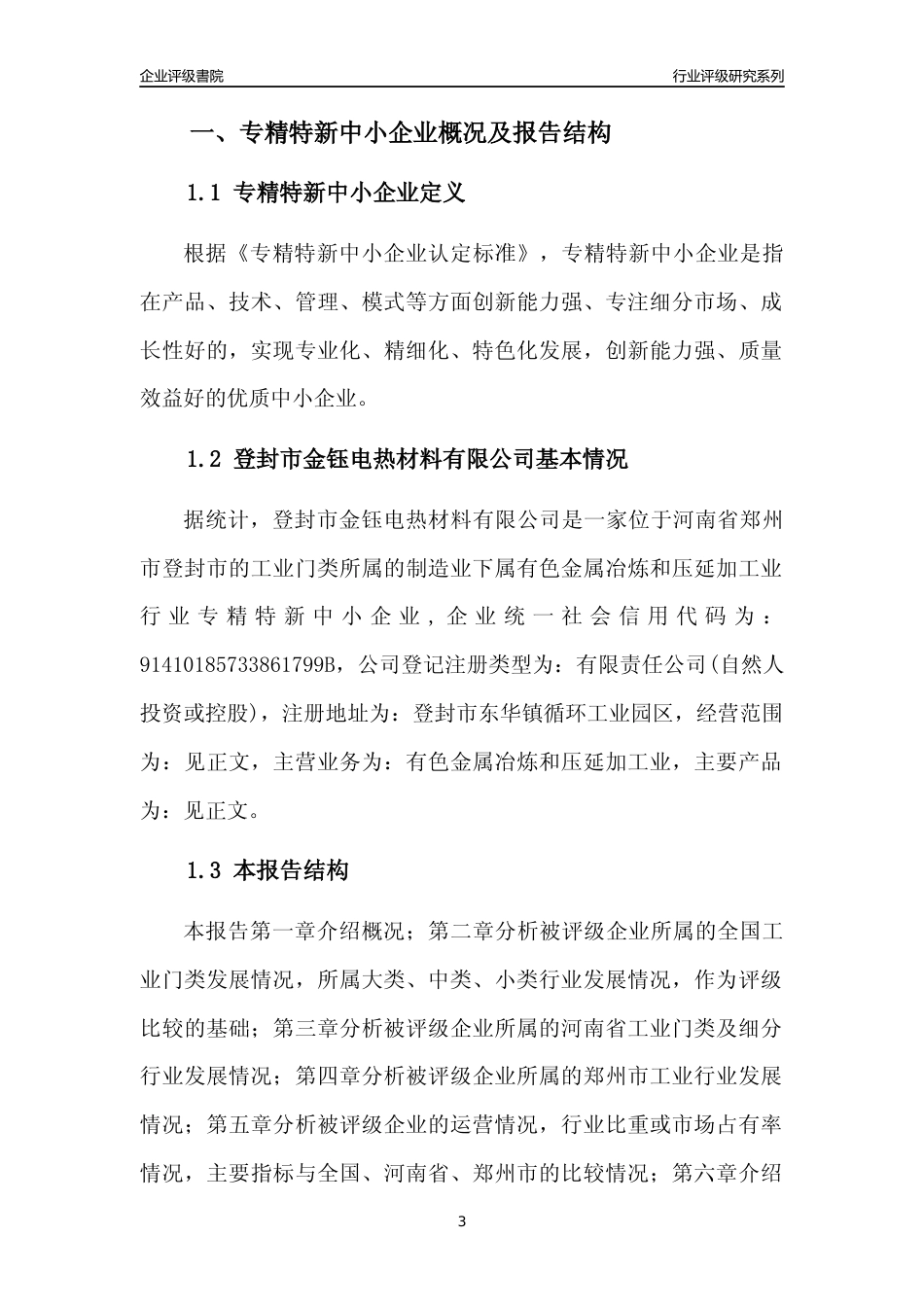 [专精特新]登封市金钰电热材料有限公司行业竞争力评级分析报告(2023版)_第3页
