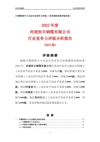 [专精特新]河南恒丰钢缆有限公司行业竞争力评级分析报告(2023版)