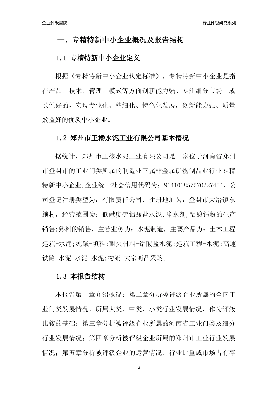 [专精特新]郑州市王楼水泥工业有限公司行业竞争力评级分析报告(2023版)_第3页