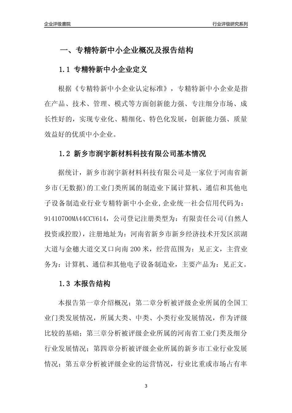 [专精特新]新乡市润宇新材料科技有限公司行业竞争力评级分析报告(2023版)_第3页