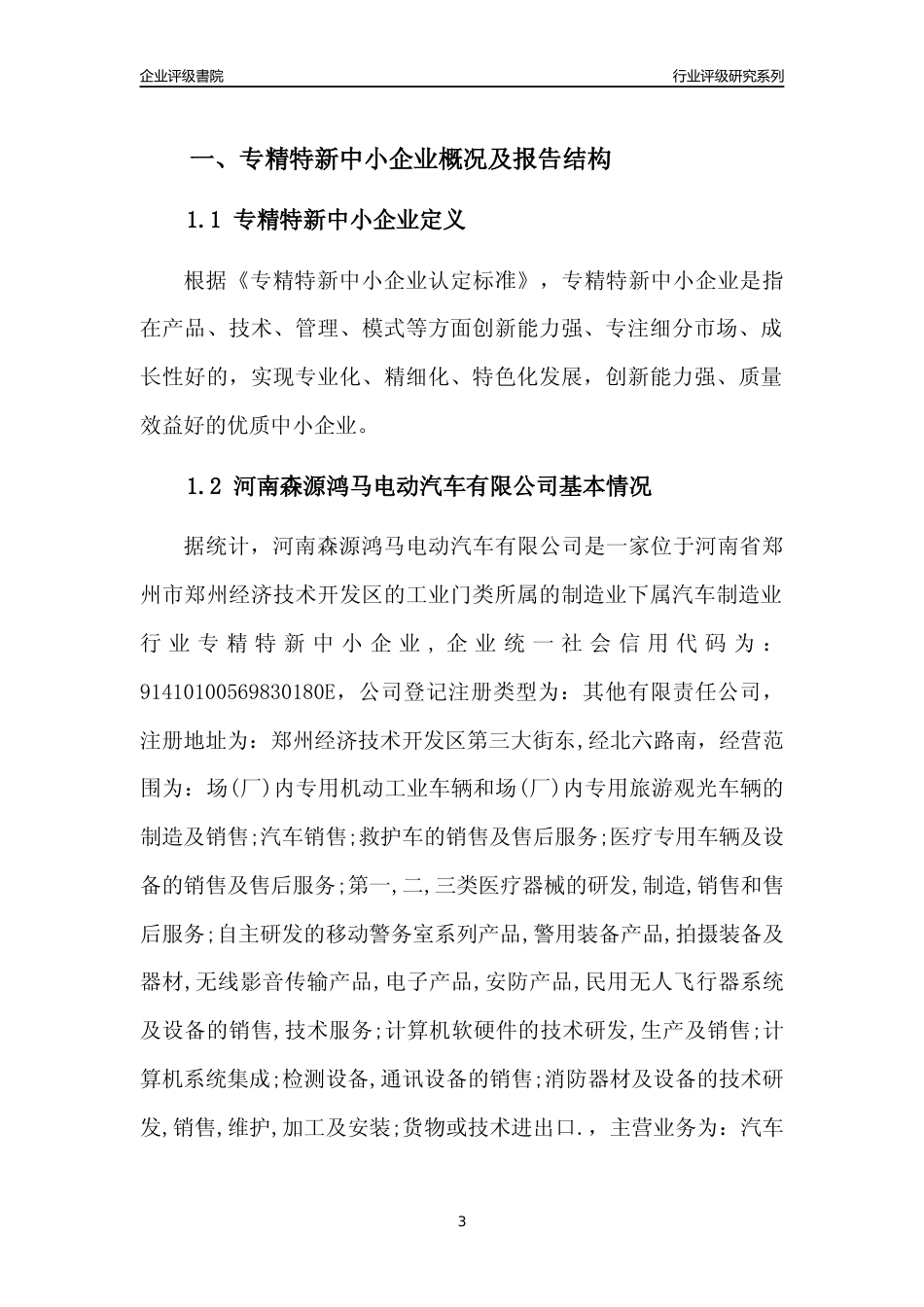 [专精特新]河南森源鸿马电动汽车有限公司行业竞争力评级分析报告(2023版)_第3页