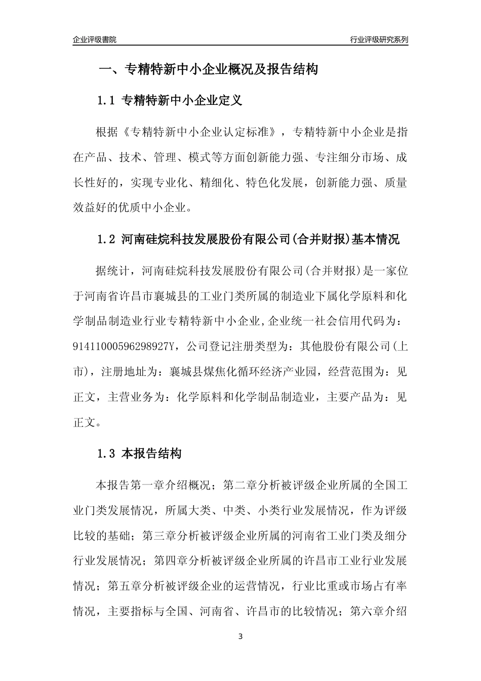 [专精特新]河南硅烷科技发展股份有限公司(合并财报)行业竞争力评级分析报告(2023版)_第3页