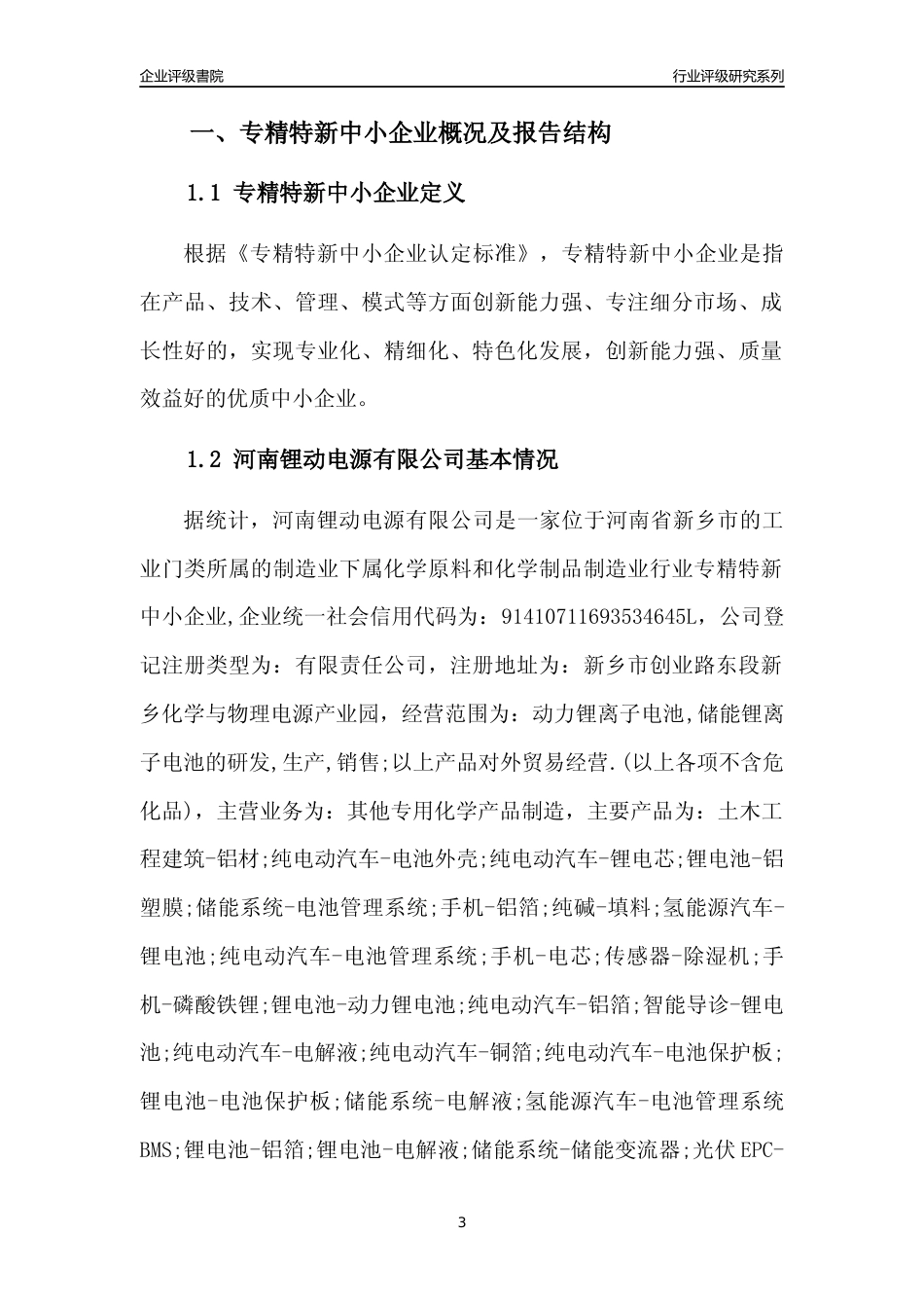[专精特新]河南锂动电源有限公司行业竞争力评级分析报告(2023版)_第3页