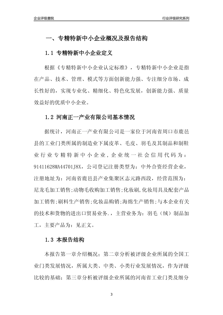 [专精特新]河南正一产业有限公司行业竞争力评级分析报告(2023版)_第3页