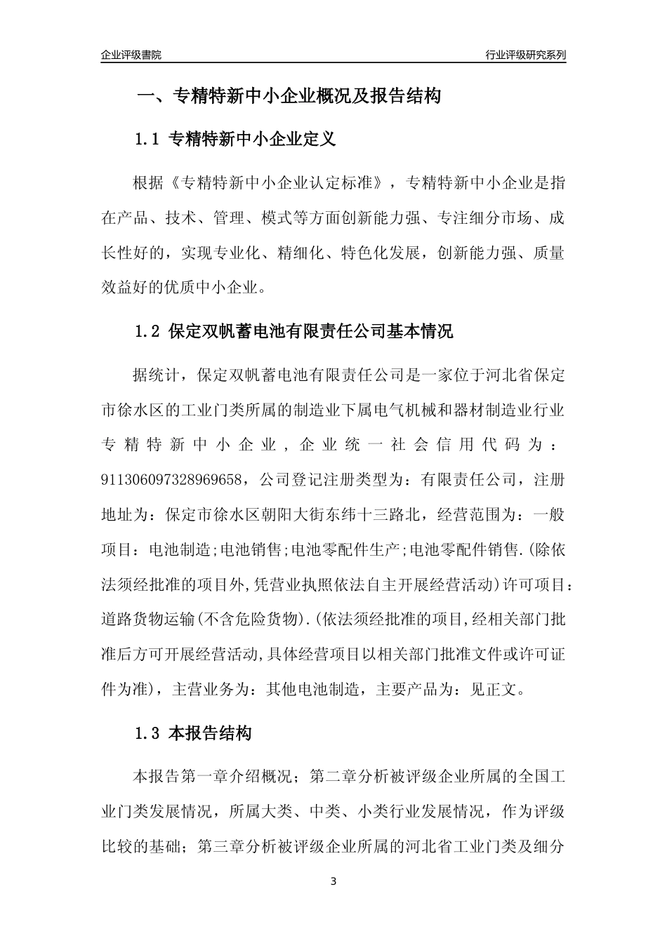 [专精特新]保定双帆蓄电池有限责任公司行业竞争力评级分析报告(2023版)_第3页