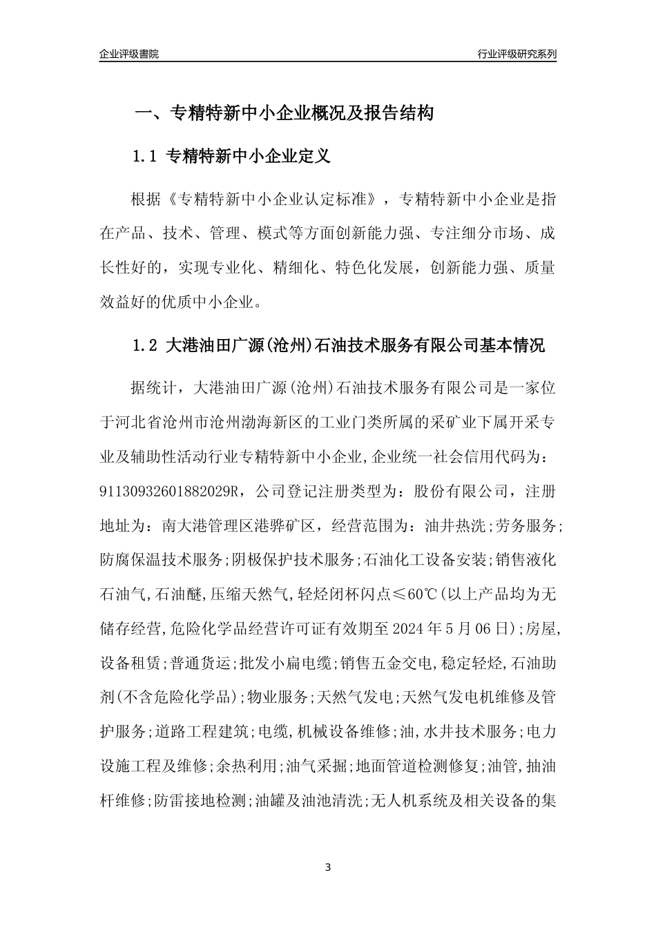 [专精特新]大港油田广源(沧州)石油技术服务有限公司行业竞争力评级分析报告(2023版)_第3页