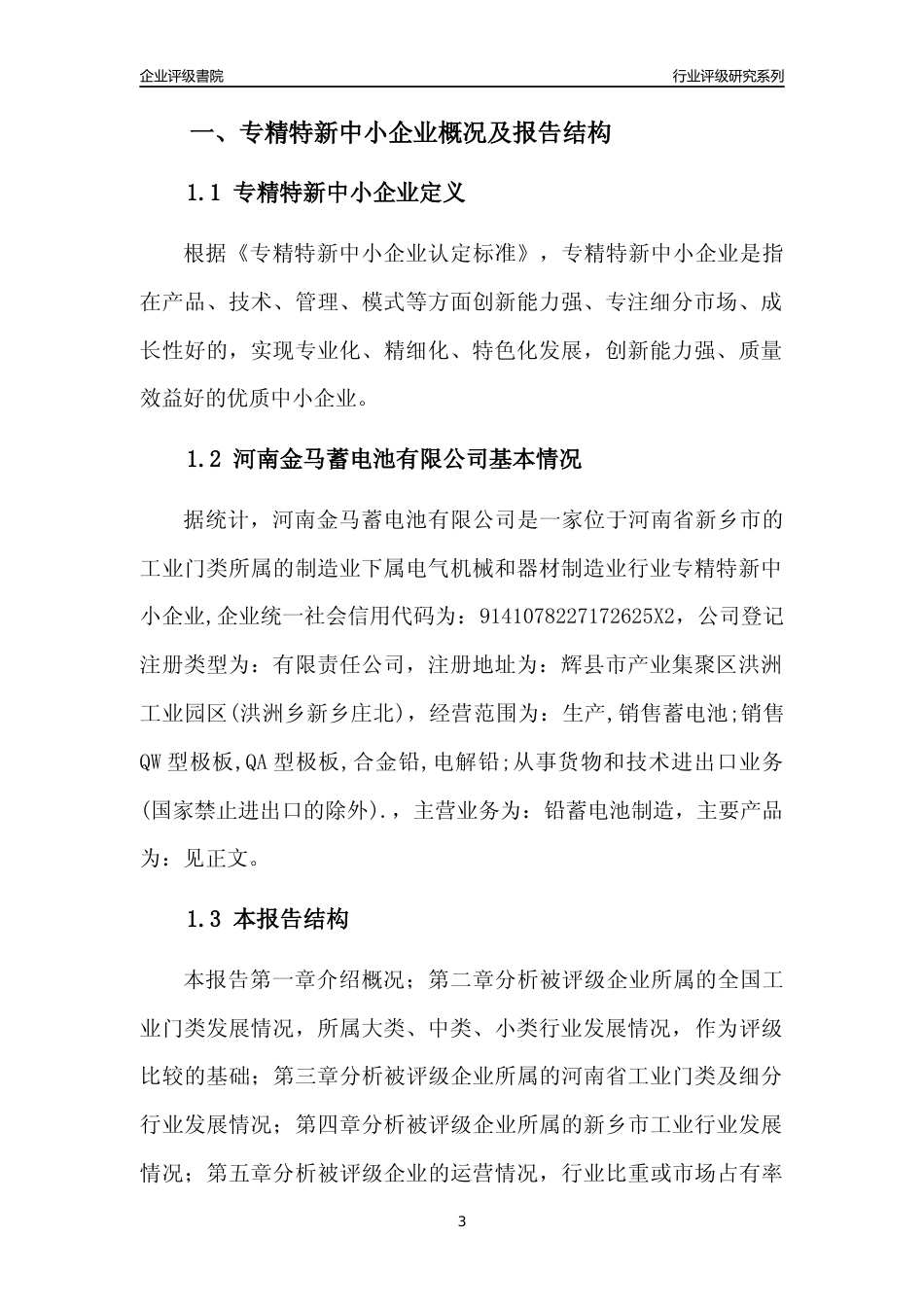 [专精特新]河南金马蓄电池有限公司行业竞争力评级分析报告(2023版)_第3页