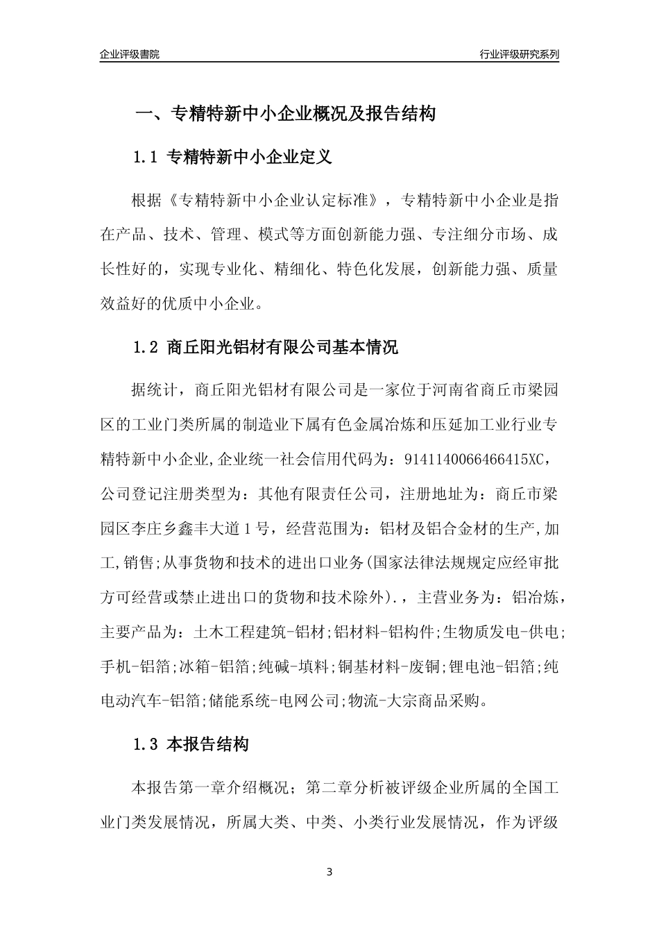 [专精特新]商丘阳光铝材有限公司行业竞争力评级分析报告(2023版)_第3页