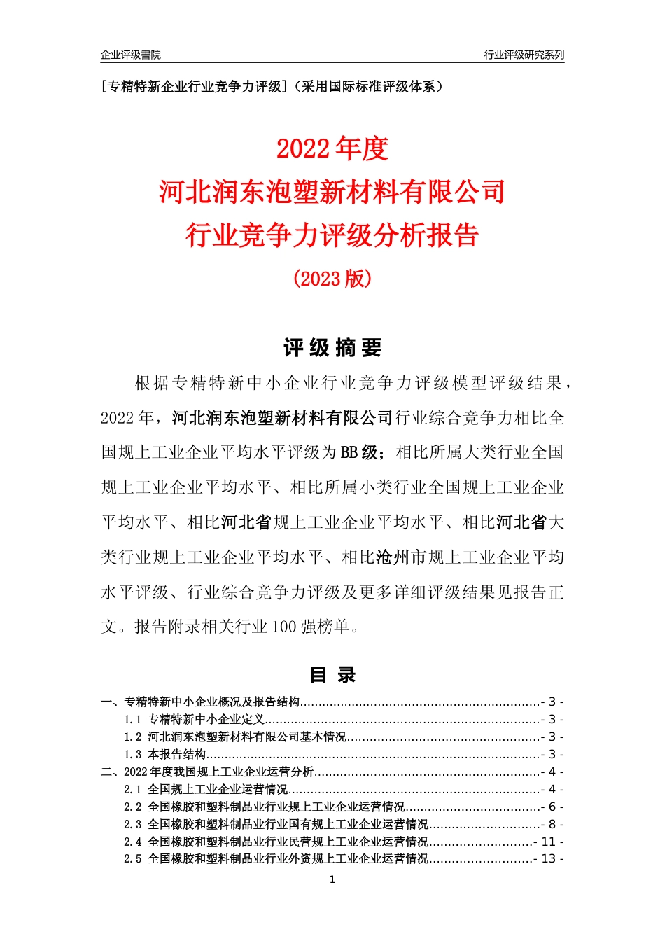 [专精特新]河北润东泡塑新材料有限公司行业竞争力评级分析报告(2023版)_第1页