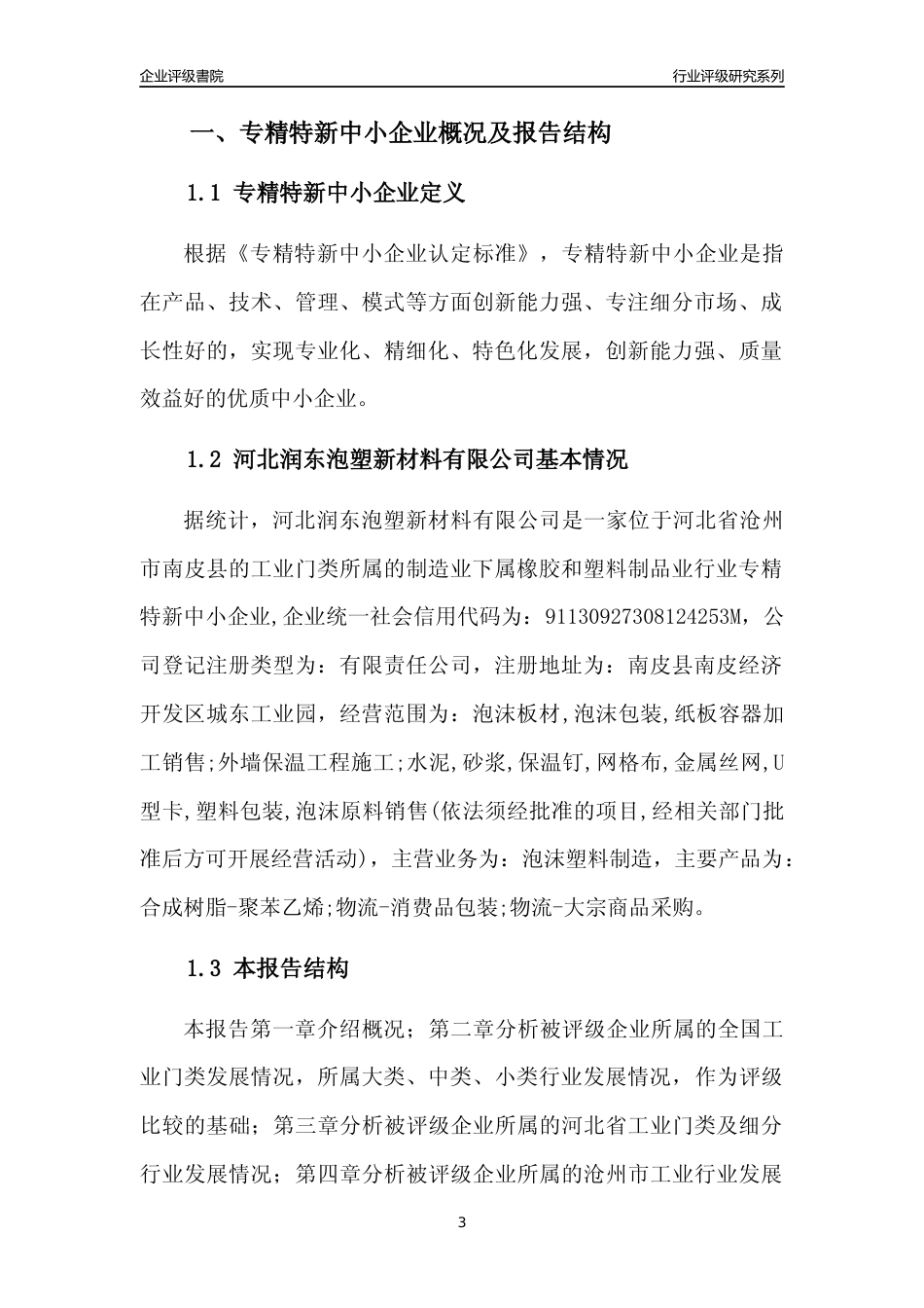 [专精特新]河北润东泡塑新材料有限公司行业竞争力评级分析报告(2023版)_第3页