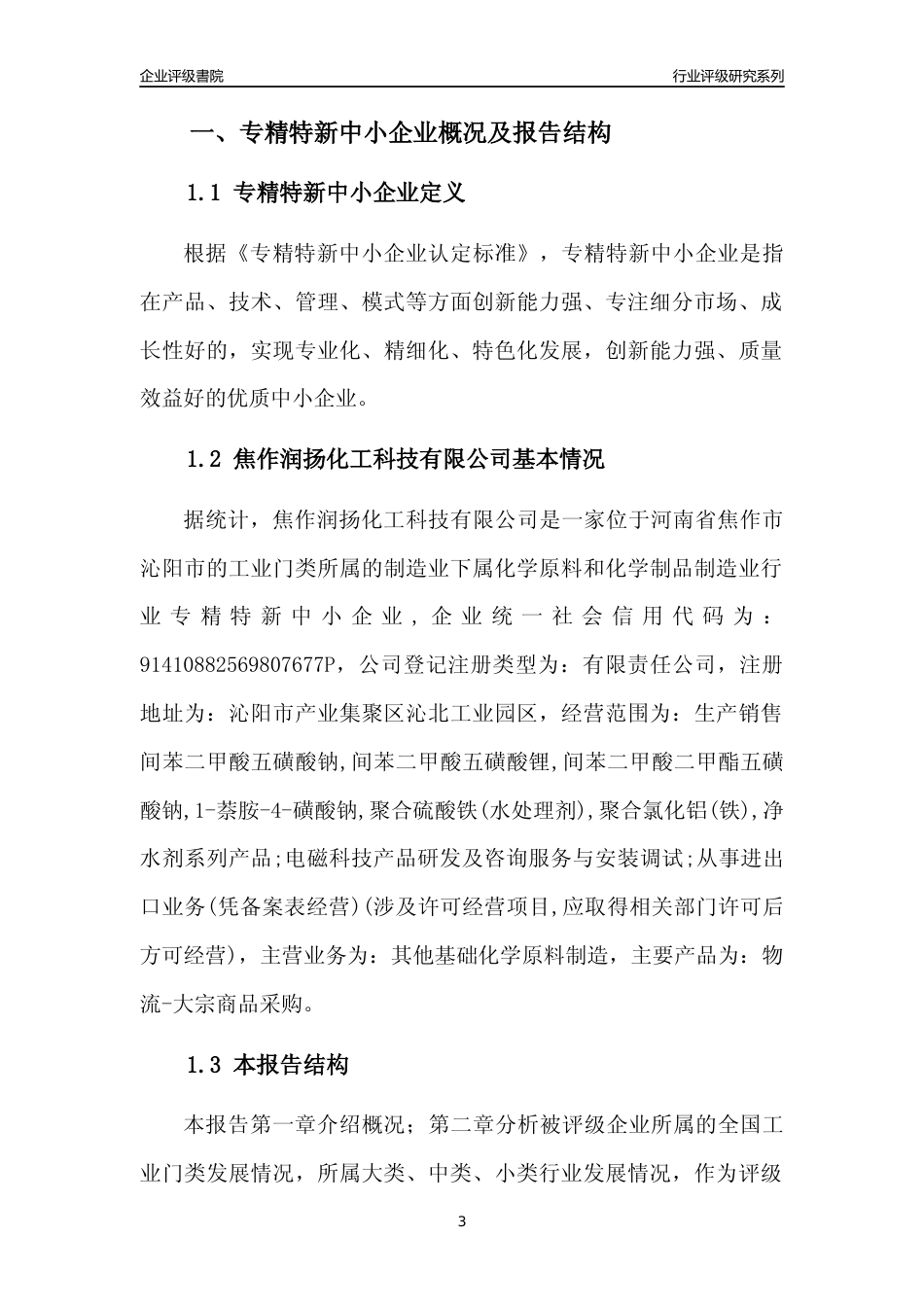 [专精特新]焦作润扬化工科技有限公司行业竞争力评级分析报告(2023版)_第3页
