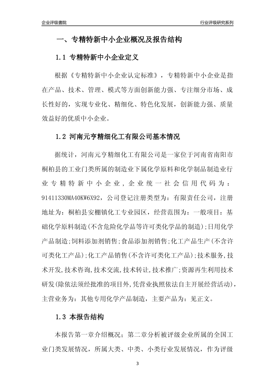 [专精特新]河南元亨精细化工有限公司行业竞争力评级分析报告(2023版)_第3页