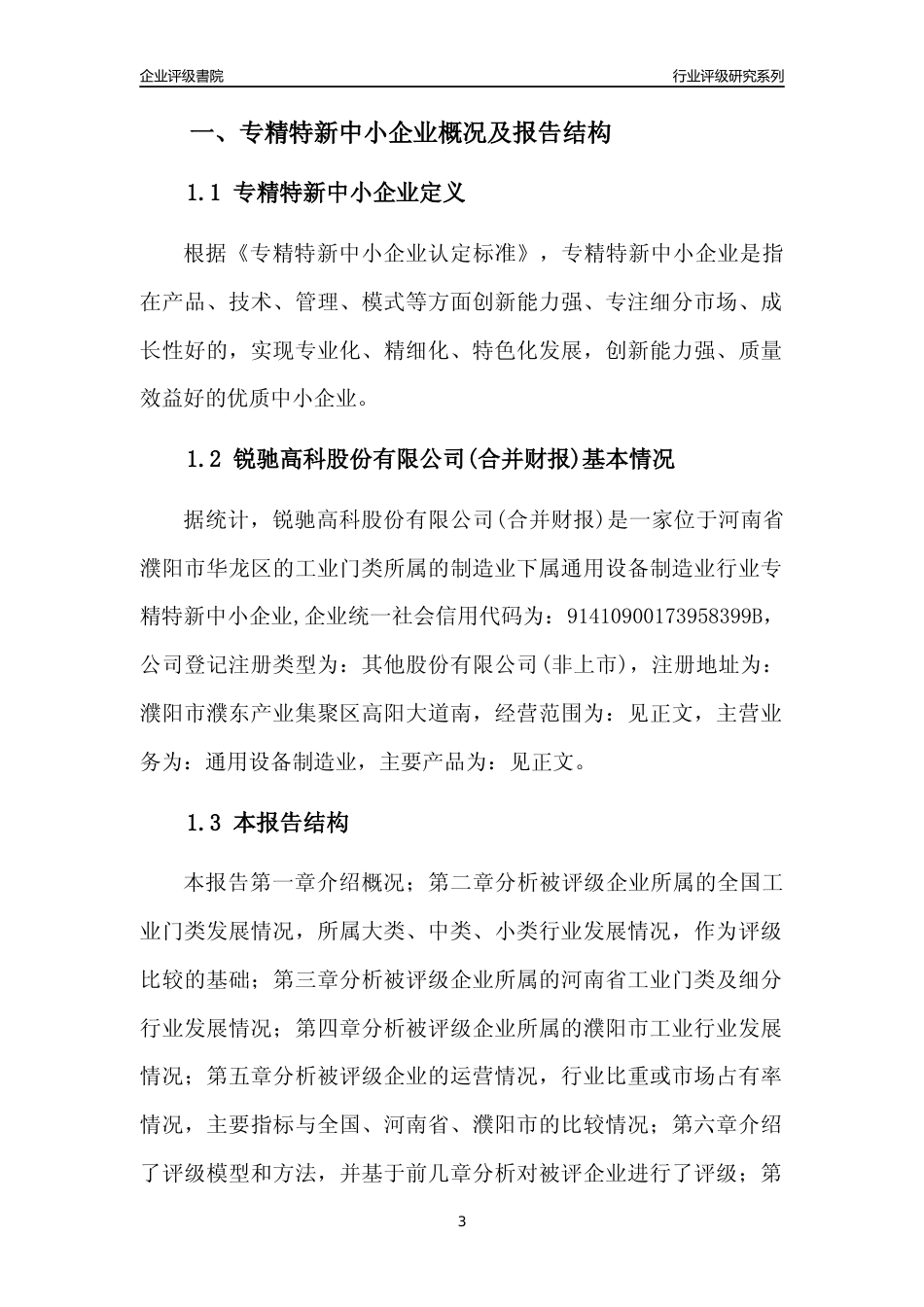 [专精特新]锐驰高科股份有限公司(合并财报)行业竞争力评级分析报告(2023版)_第3页