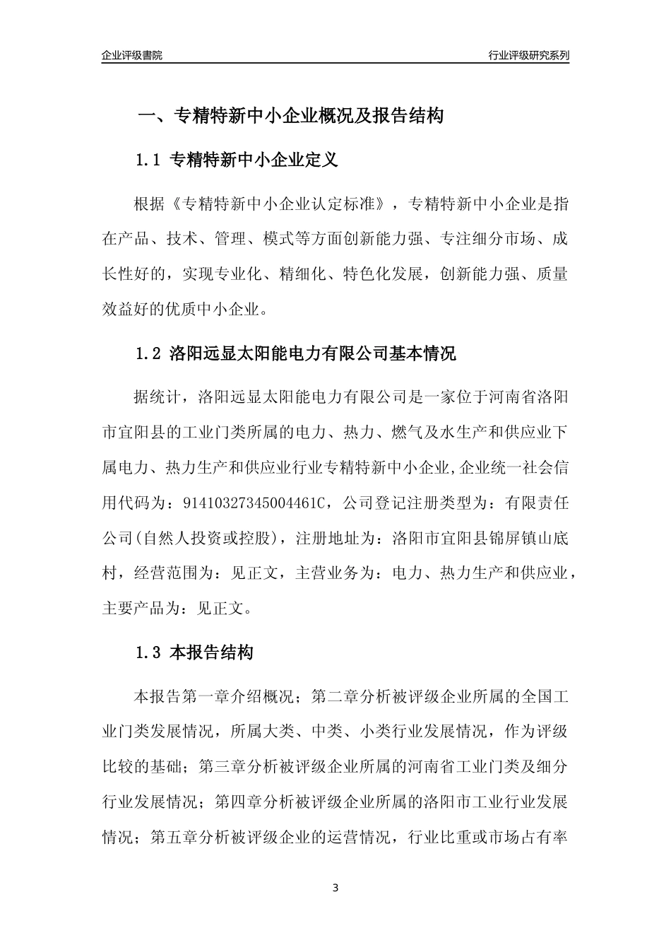 [专精特新]洛阳远显太阳能电力有限公司行业竞争力评级分析报告(2023版)_第3页