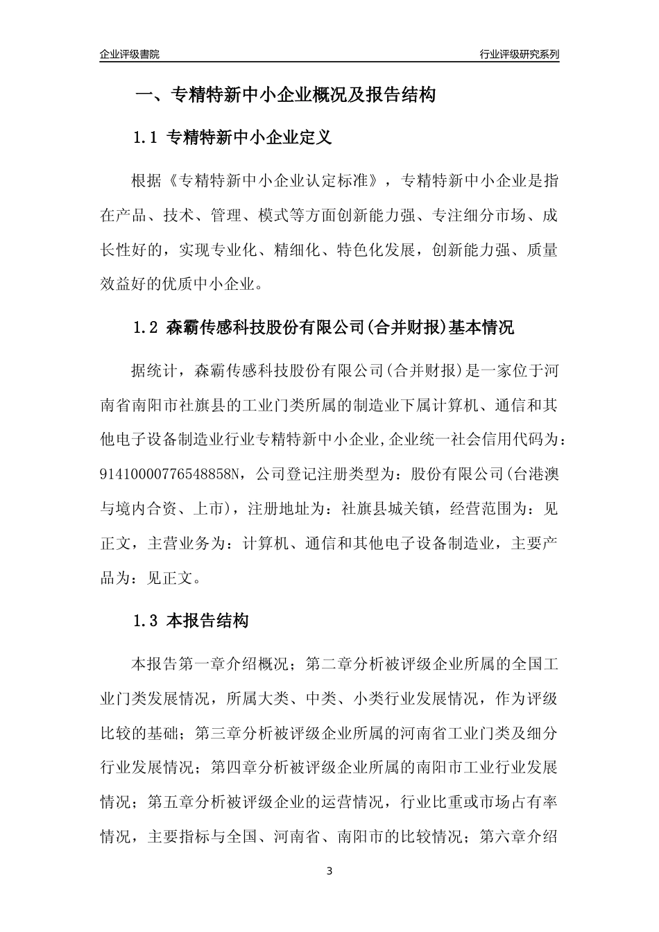 [专精特新]森霸传感科技股份有限公司(合并财报)行业竞争力评级分析报告(2023版)_第3页