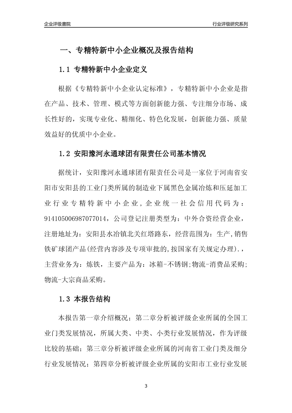[专精特新]安阳豫河永通球团有限责任公司行业竞争力评级分析报告(2023版)_第3页