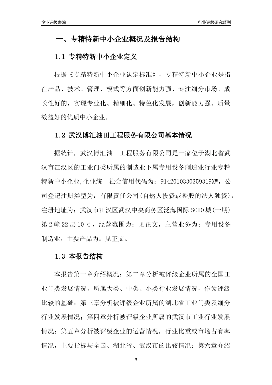 [专精特新]武汉博汇油田工程服务有限公司行业竞争力评级分析报告(2023版)_第3页