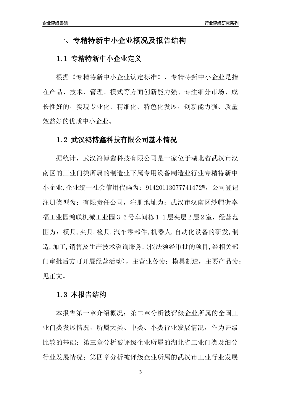 [专精特新]武汉鸿博鑫科技有限公司行业竞争力评级分析报告(2023版)_第3页