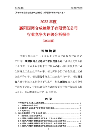 [专精特新]襄阳国网合成绝缘子有限责任公司行业竞争力评级分析报告(2023版)