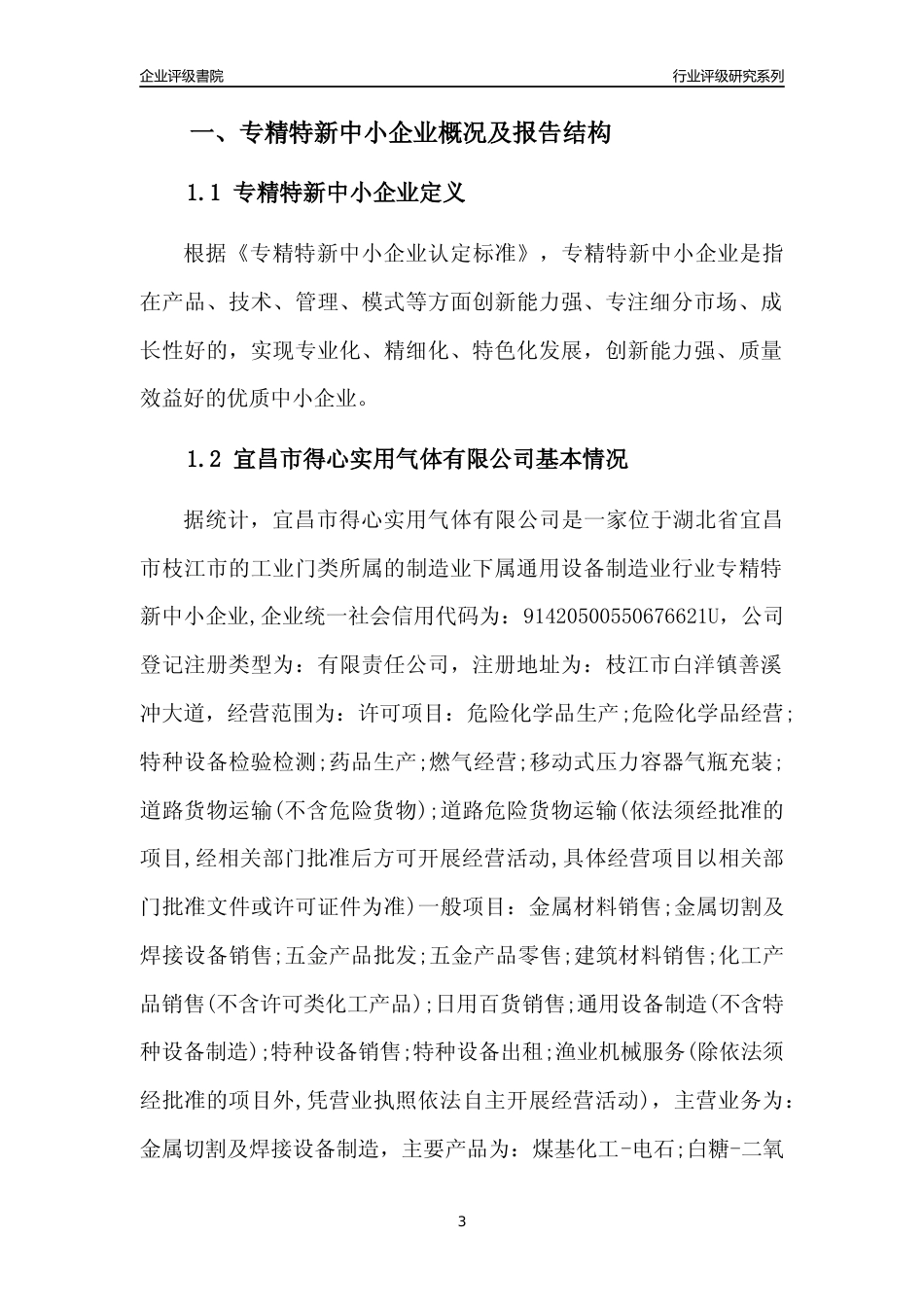 [专精特新]宜昌市得心实用气体有限公司行业竞争力评级分析报告(2023版)_第3页