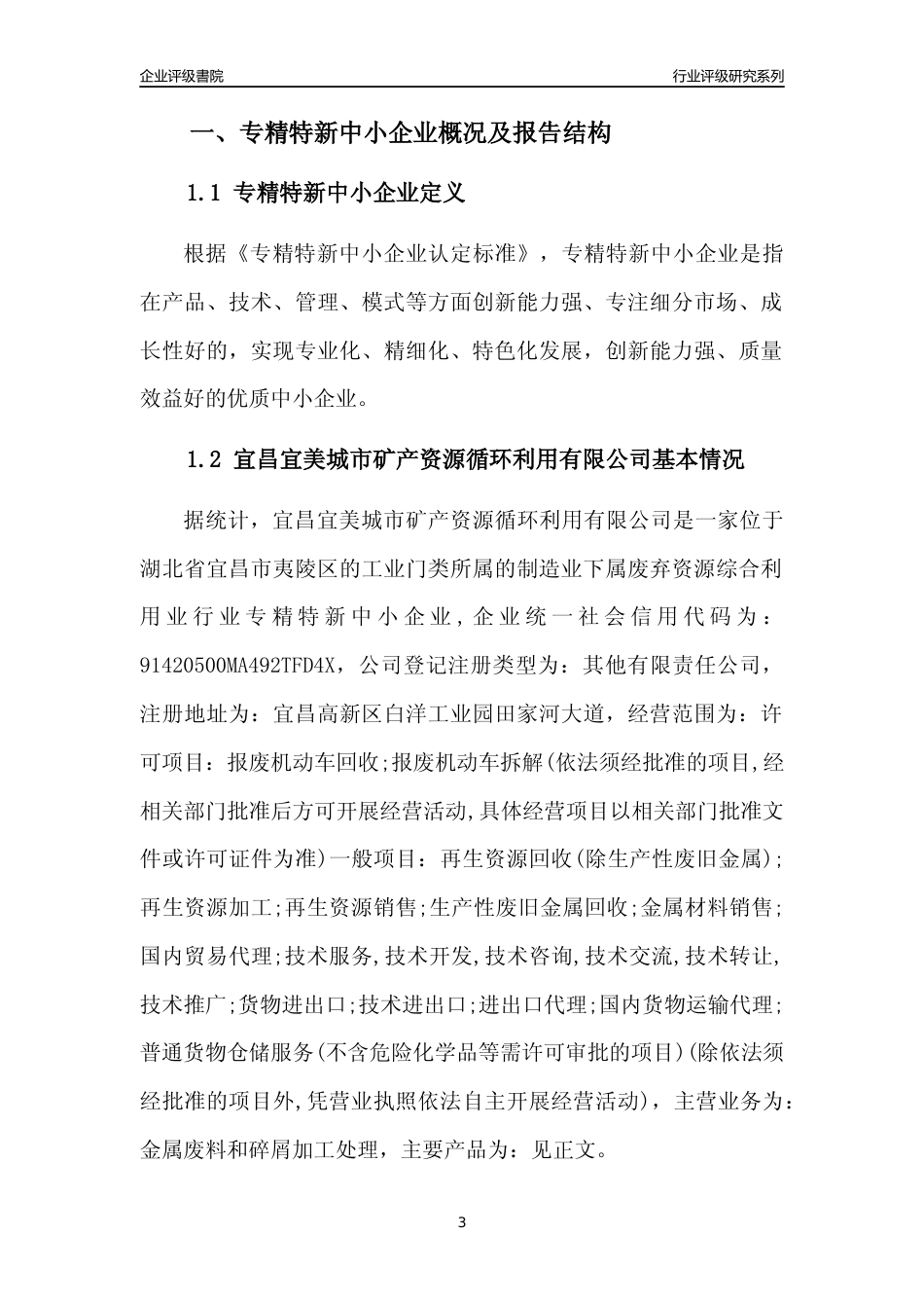 [专精特新]宜昌宜美城市矿产资源循环利用有限公司行业竞争力评级分析报告(2023版)_第3页