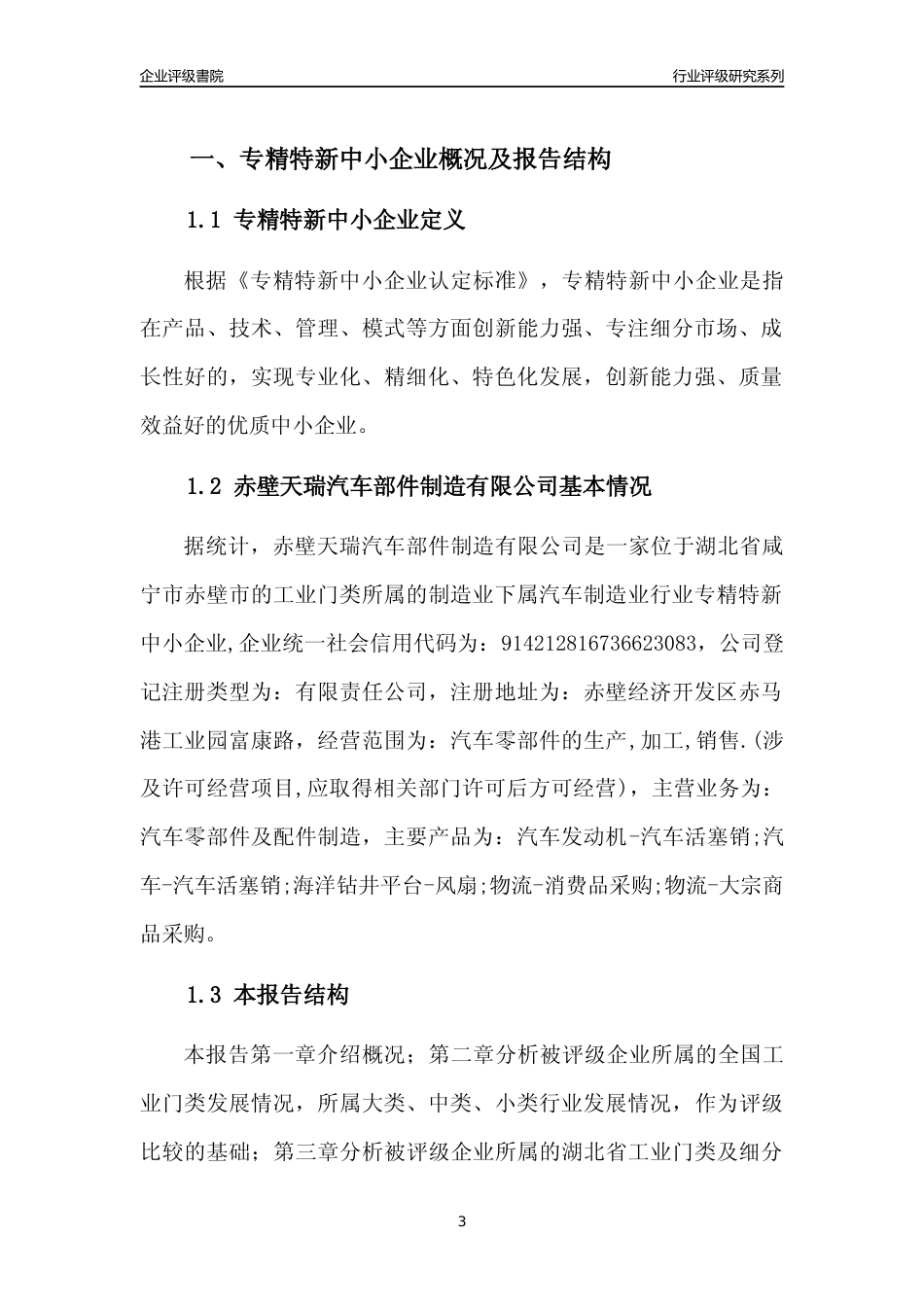 [专精特新]赤壁天瑞汽车部件制造有限公司行业竞争力评级分析报告(2023版)_第3页