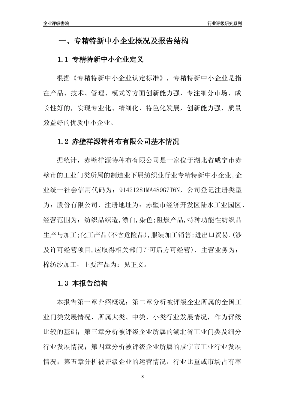 [专精特新]赤壁祥源特种布有限公司行业竞争力评级分析报告(2023版)_第3页