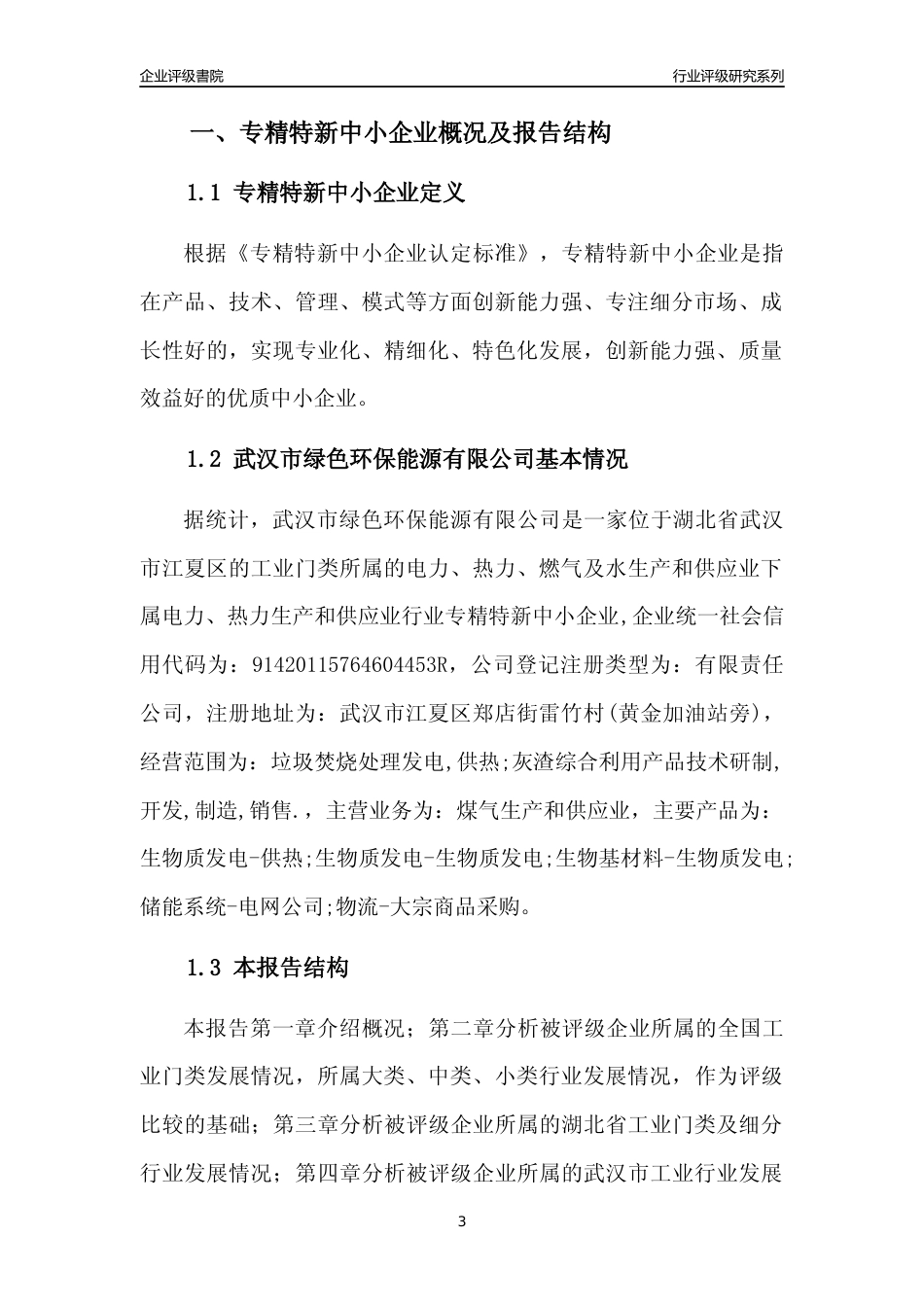 [专精特新]武汉市绿色环保能源有限公司行业竞争力评级分析报告(2023版)_第3页