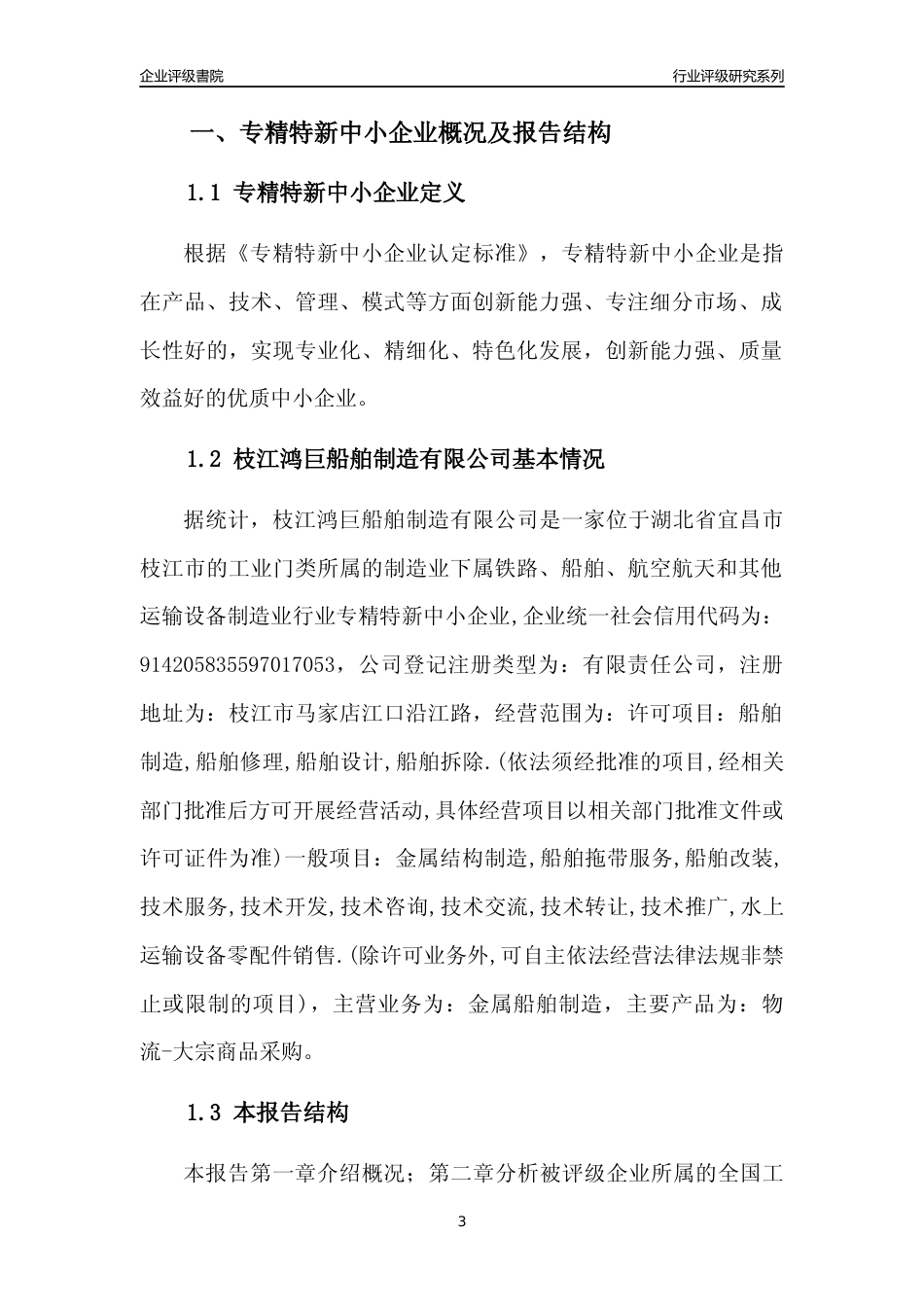 [专精特新]枝江鸿巨船舶制造有限公司行业竞争力评级分析报告(2023版)_第3页