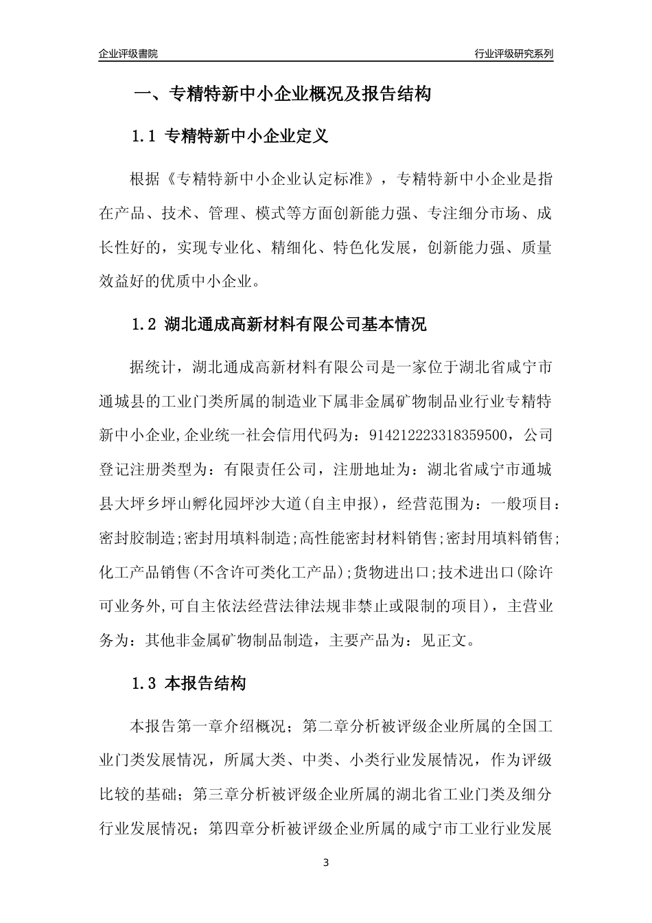 [专精特新]湖北通成高新材料有限公司行业竞争力评级分析报告(2023版)_第3页