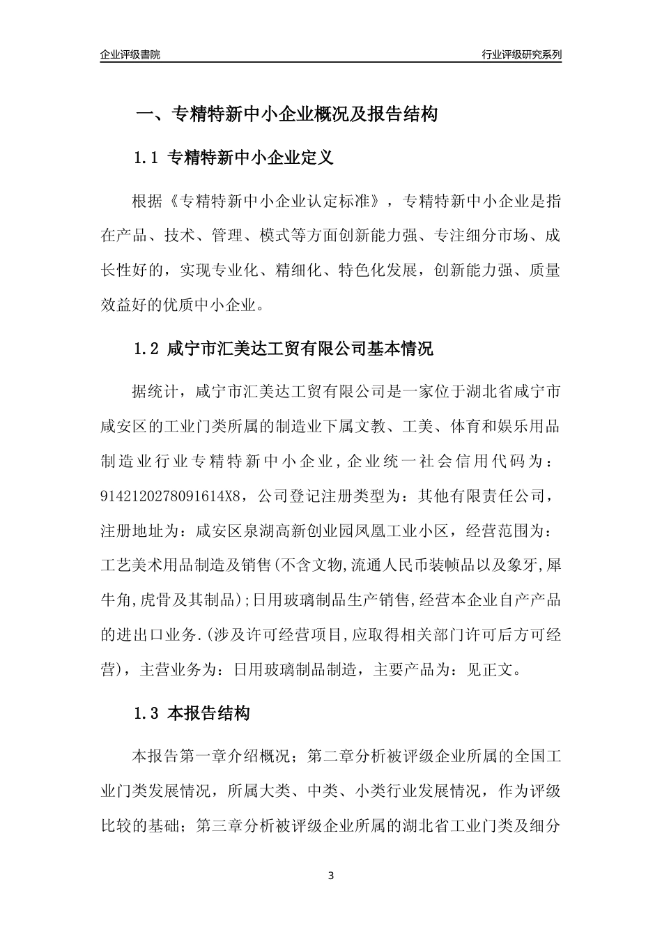 [专精特新]咸宁市汇美达工贸有限公司行业竞争力评级分析报告(2023版)_第3页