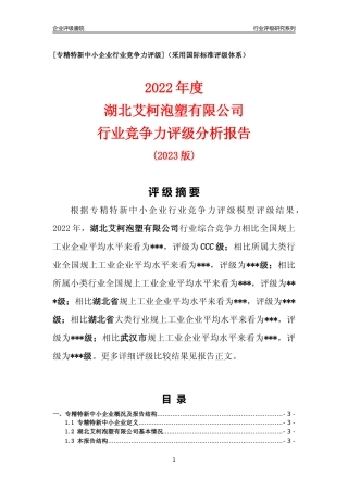 [专精特新]湖北艾柯泡塑有限公司行业竞争力评级分析报告(2023版)